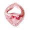 Baby Girl Bow Ribbon Floral Bib  