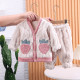 9M-4Y Plush Velvet Coral Fleece Warm Strawberry Pajamas Cardigan And Pants Set Two Pieces Baby  Clothing  