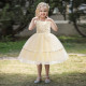 3-7Y Toddler Girls Party Embroidered Mesh Dresses  Girls Fashion Clothes  