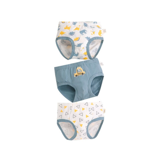 3 Pack Boy Brief Cartoon Print Panties  