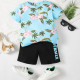 18M-7Y Toddler Boys Beach Sets Flower T-Shirts And Letter Shorts  Boys Clothing  