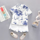 18M-6Y Toddler Boys Coconut Print Polo Collar Shirt & Shorts Beach Sets  Boys Clothing  